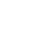 AVES GROUP Logo